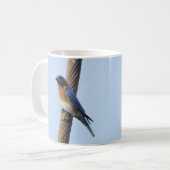 Bluebird auf einer Draht-Tasse Kaffeetasse (Vorderseite Links)