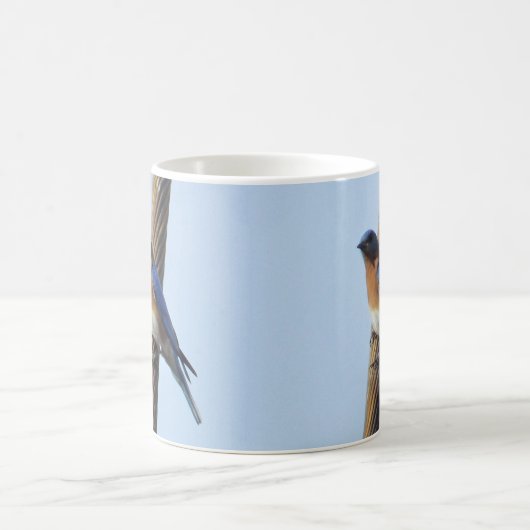 Bluebird auf einer Draht-Tasse Kaffeetasse (Mittel)