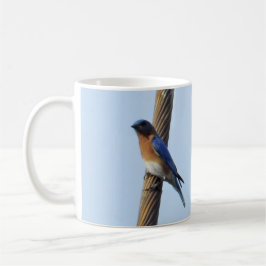 Bluebird auf einer Draht-Tasse Kaffeetasse