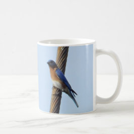 Bluebird auf einer Draht-Tasse Kaffeetasse
