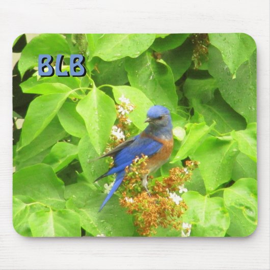 Bluebird auf Lilac Hedge your Initials Mousepad (Vorne)