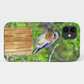 Bluebird auf Zaun Case-Mate iPhone Hülle (Rückseite (Horizontal))