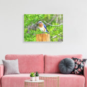 Bluebird auf Zaun Leinwanddruck (Insitu (Wohnzimmer))