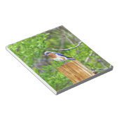 Bluebird auf Zaun Notizblock (angewinkelt)