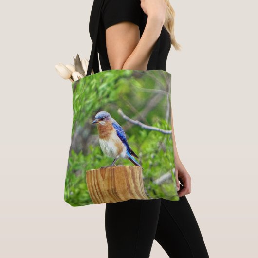 Bluebird auf Zaun Tasche (Von Nahem)
