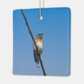 Bluebird auf Zweig Keramikornament (Links)