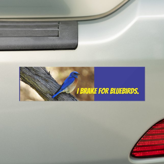 Bluebird-Autoaufkleber Autoaufkleber (Auf Auto)