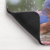 Bluebird bei Birdbath Mousepad (Ecke)