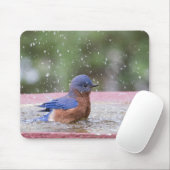 Bluebird bei Birdbath Mousepad (Mit Mouse)