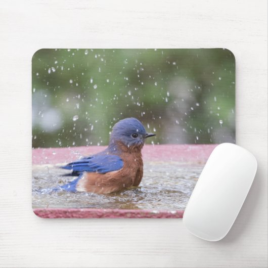 Bluebird bei Birdbath Mousepad (Mit Mouse)