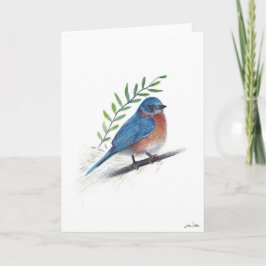Bluebird Bird Art Card Karte