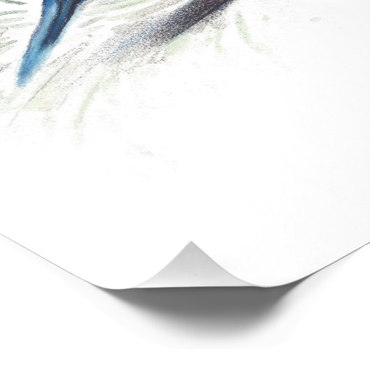 Bluebird Bird Art Foto Print (Ecke)