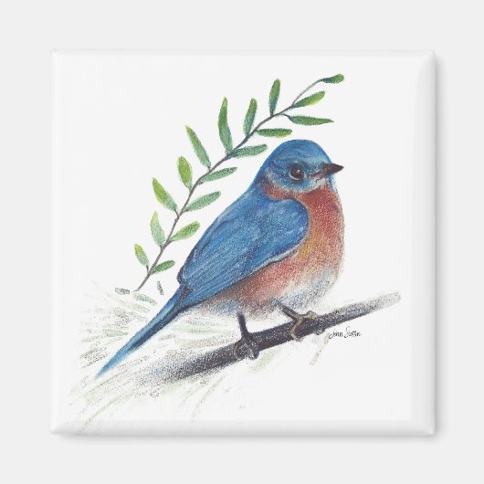 Bluebird Bird Art Magnet (Vorne)