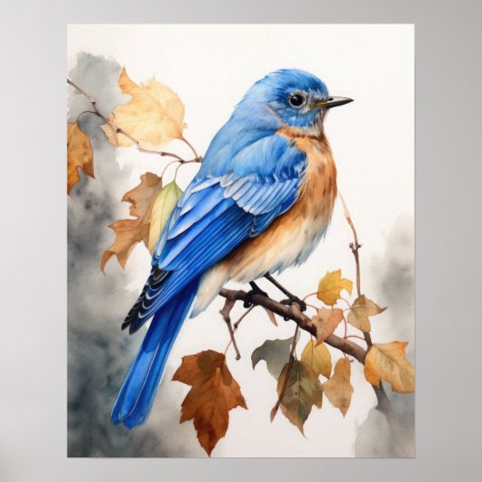 Bluebird Bird Art Print Poster (Vorne)
