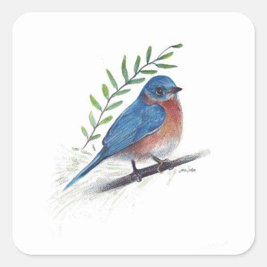 Bluebird Bird Art Square Sticker (Vorderseite)