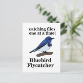 Bluebird Bird Lover Funny Postkarte (Stehend Vorderseite)