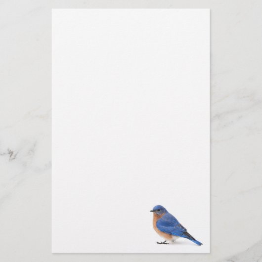 Bluebird Briefpapier (Vorderseite)