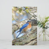 Bluebird Briefpapier (Stehend Vorderseite)