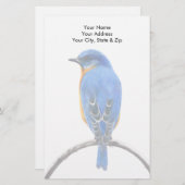 Bluebird Briefpapier (Vorne/Hinten)