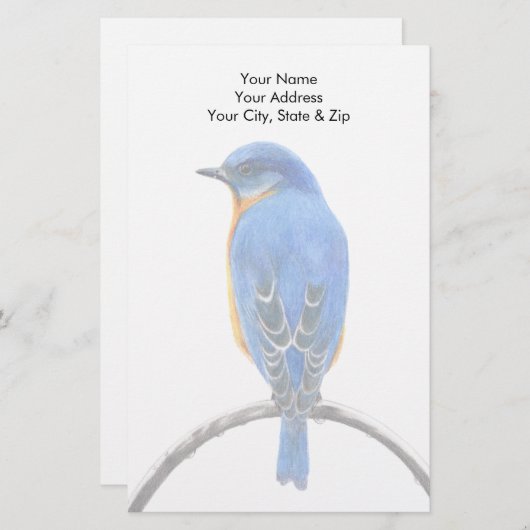 Bluebird Briefpapier (Vorne/Hinten)