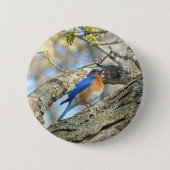 Bluebird Button (Vorderseite)
