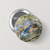 Bluebird Button (Vorne & Hinten)