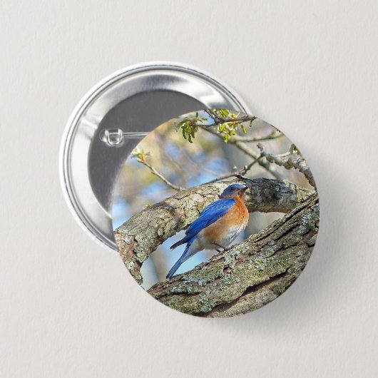 Bluebird Button (Vorne & Hinten)