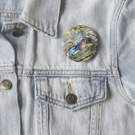 Bluebird Button (Beispiel)