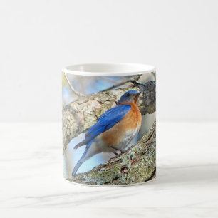 Bluebird Coffee Tasse