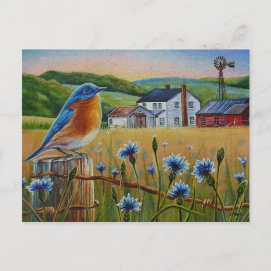 Bluebird Cornflowers Sommer Farm Wasserfarbene Kun Postkarte (Vorderseite)