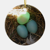 Bluebird Eggs Ornament (Vorne)