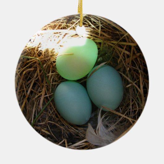 Bluebird Eggs Ornament (Hinten)