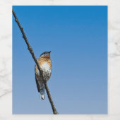 Bluebird Food and Beverage Label Set Weinetikett (Einzelnes Label)