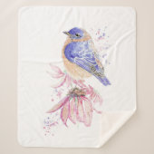 Bluebird Garden Bird Fauna Nature Sherpadecke (Vorderseite)