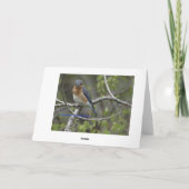 Bluebird, Geburtstag Karte (Rückseite)