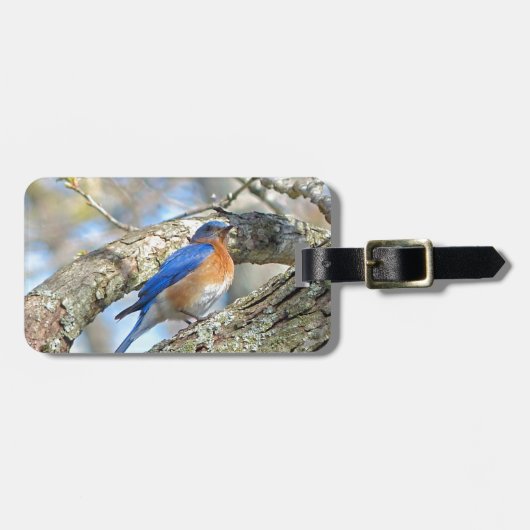 Bluebird Gepäckanhänger (Vorderseite horizontal)