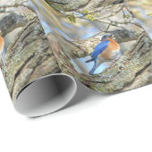 Bluebird Geschenkpapier (Rolleneckpunkt)