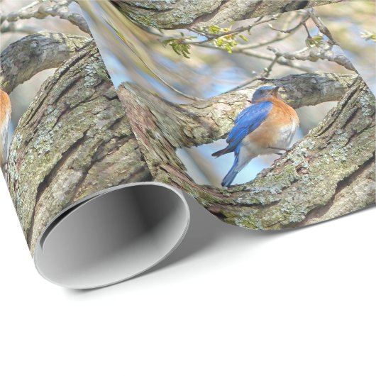 Bluebird Geschenkpapier (Rolleneckpunkt)
