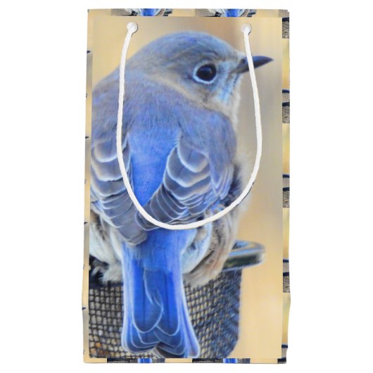 Bluebird-Geschenktasche Kleine Geschenktüte (Vorderseite)