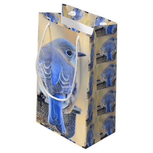 Bluebird-Geschenktasche Kleine Geschenktüte (Rückseite Schrägansicht)