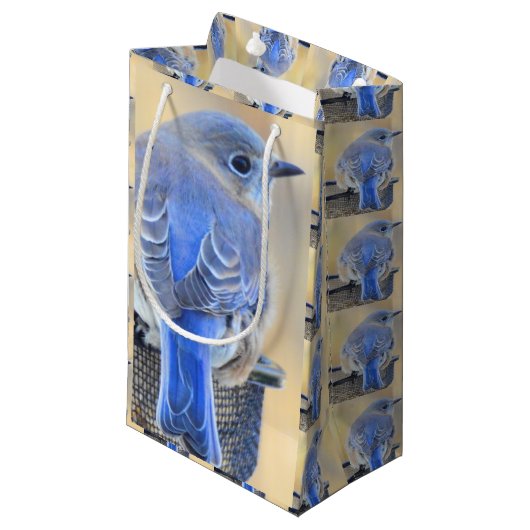 Bluebird-Geschenktasche Kleine Geschenktüte (Vorderseite Schrägansicht)