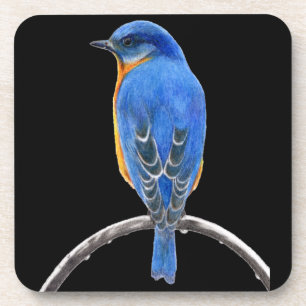 Bluebird Getränkeuntersetzer