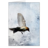 Bluebird Grunge (Vorne)