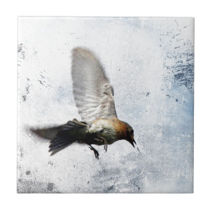Bluebird Grunge Fliese