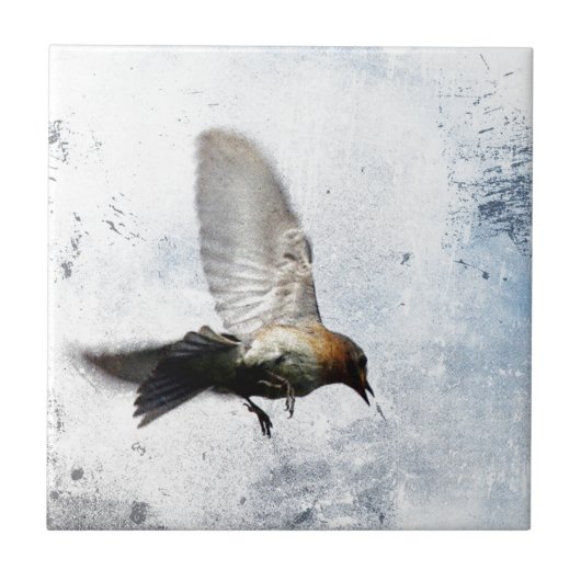 Bluebird Grunge Fliese (Vorderseite)