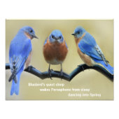 Bluebird Haiku Poster (Vorne)