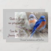 Bluebird-Hochzeitsankündigungen Einladung (Vorne/Hinten)