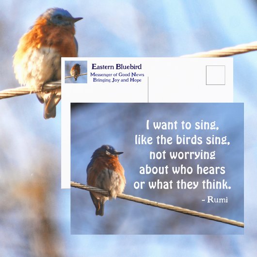 Bluebird Ich wollte auf Sing Rumi Quote Fotografy Postkarte