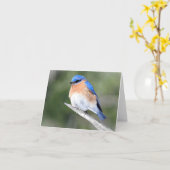 Bluebird im Shagbark-Feld innen Karte (Gelbe Blume)