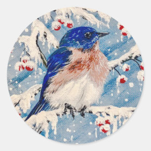 Bluebird in Berries & Snow ❄️ ❄️ ❄️ Runder Aufkleber